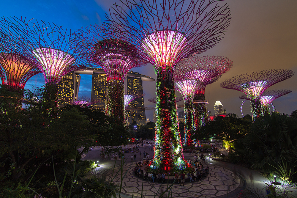 Gardens By The Bay Supertree Grove Opens Till 2am Daily Entry Is Free