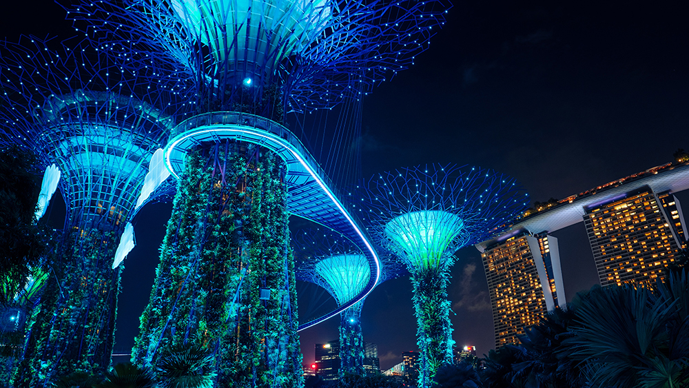 Gardens by the Bay Singapore Light Show