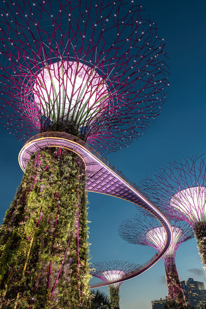 Gardens by the Bay Super Tree