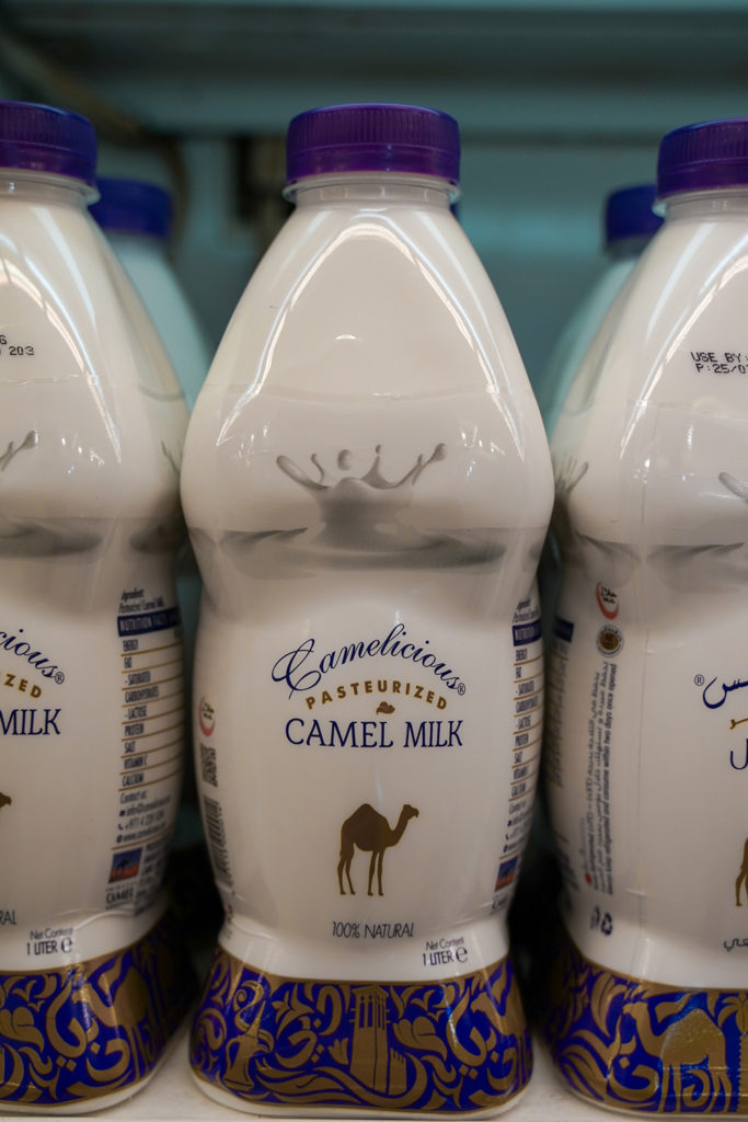 Camel Milk in Mustafa Centre