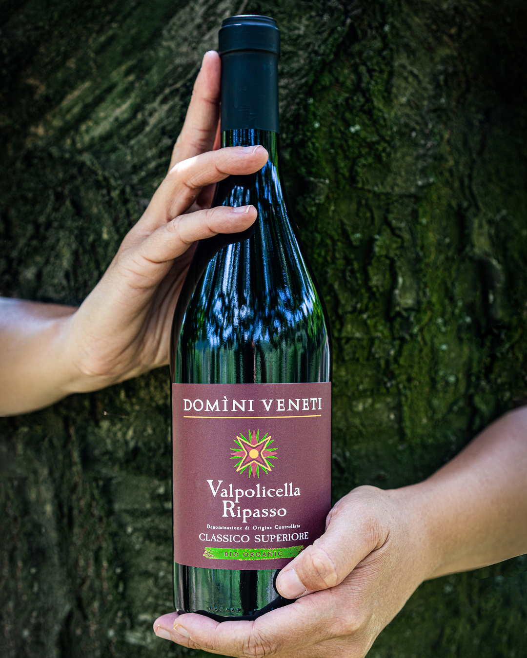 Domini Veneti wines