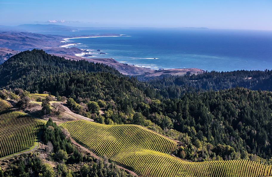 California Wines_Sonoma County