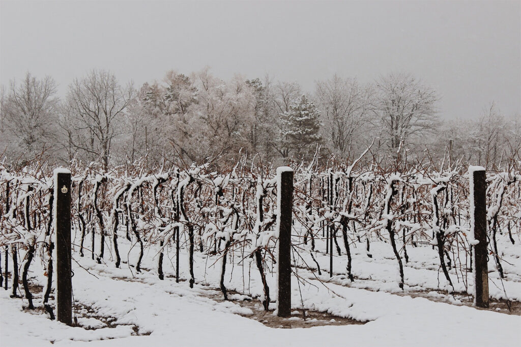 Inniskillin Wines Canada