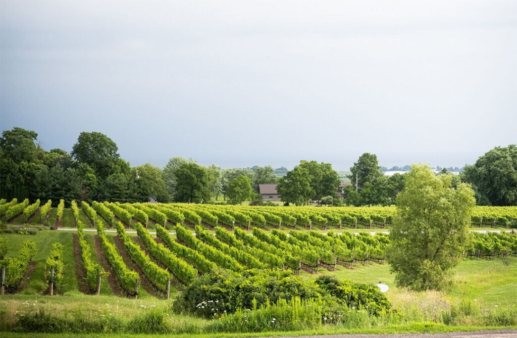 le clos jordanne winery